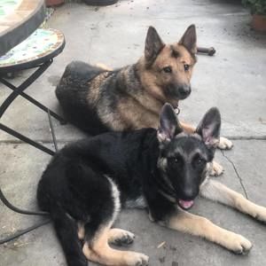 Meet your Posher, Jane